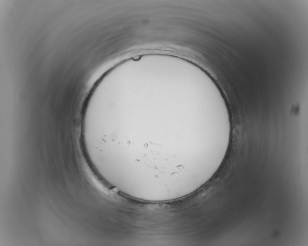 X0000114181523200911051539