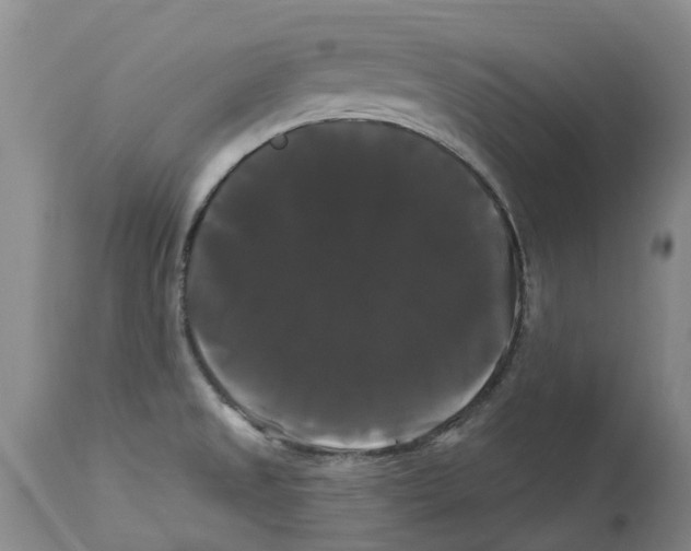 X0000114181525200911051539