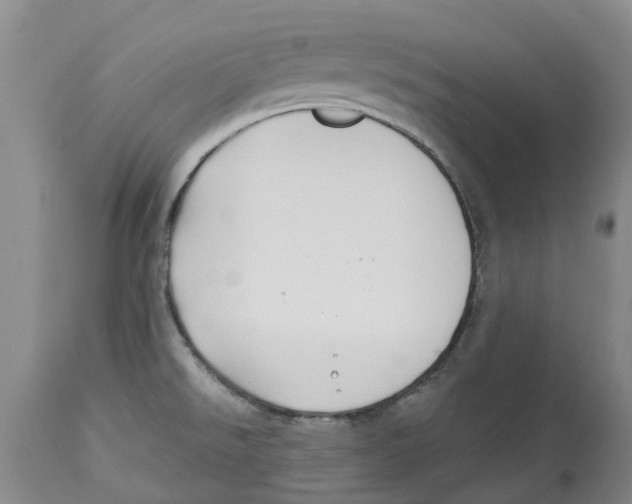 X0000114181526200911051539