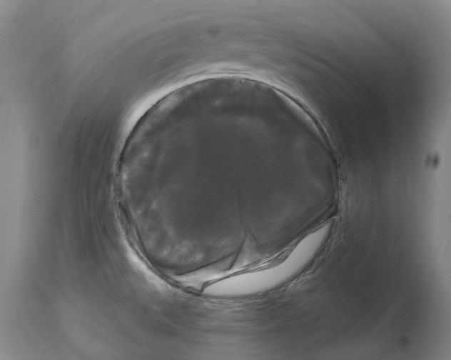 X0000114181527200911051539