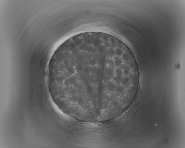 X0000114181528200911051539