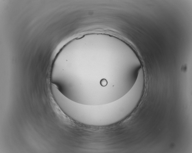 X0000114181530200911051539