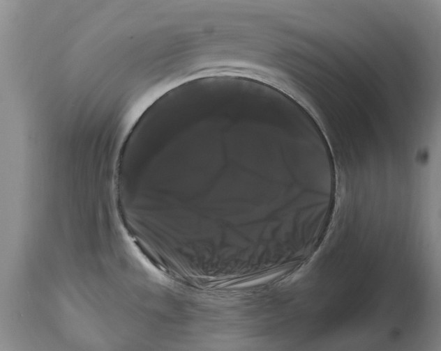 X0000114181533200911051539