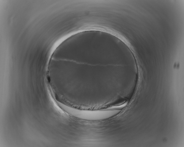 X0000114181536200911051539