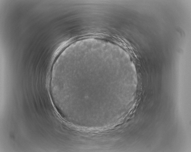 X0000114180003200911191317