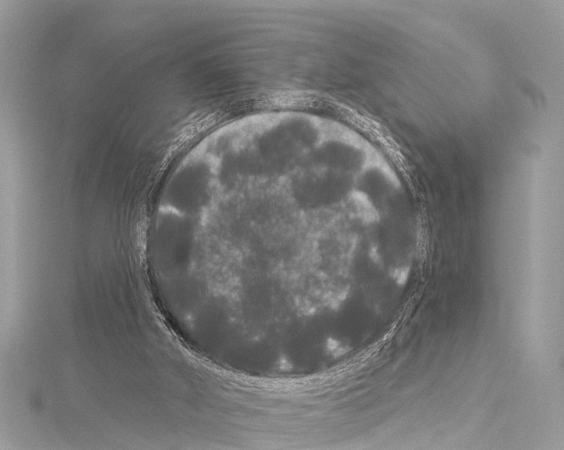 X0000114180010200911191317