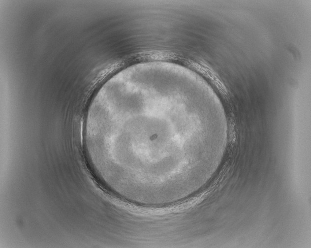 X0000114180014200911191317