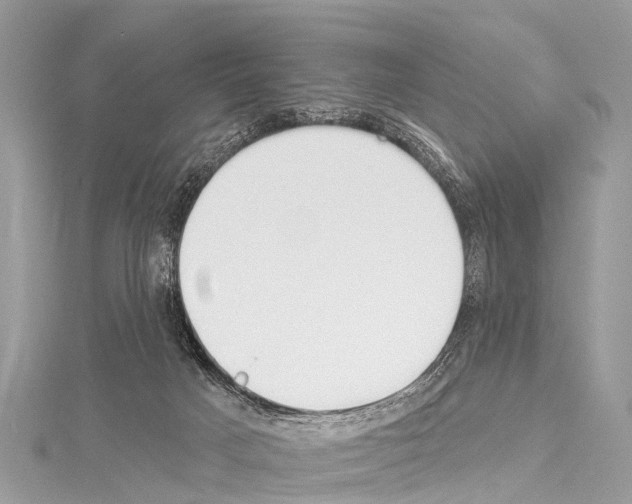 X0000114180025200911191317