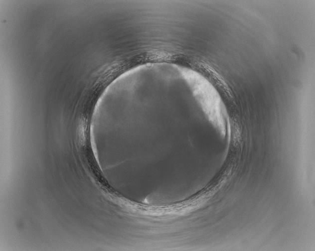 X0000114180026200911191317