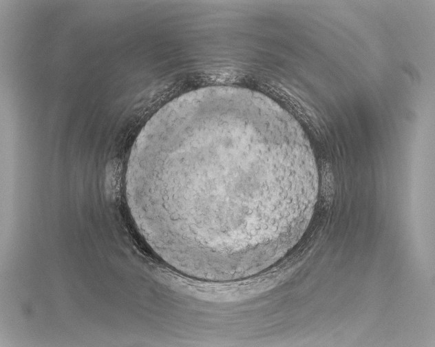 X0000114180030200911191317