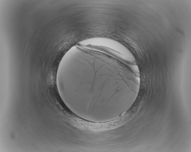 X0000114180039200911191317