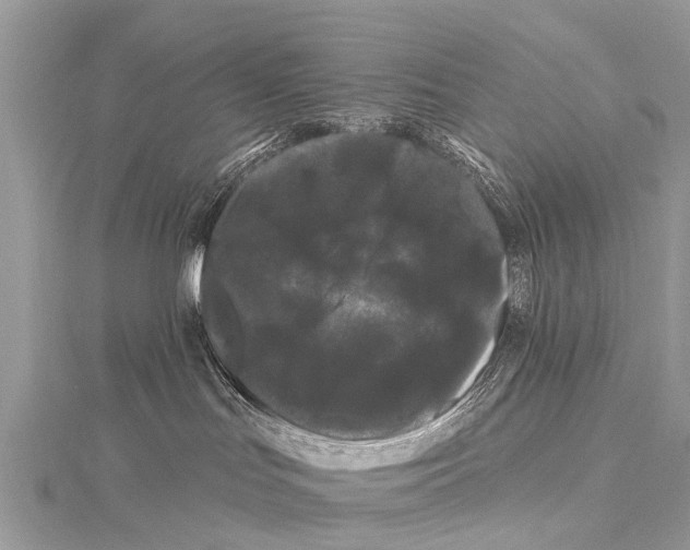 X0000114180047200911191316