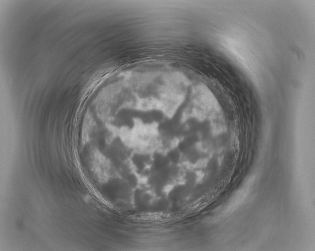 X0000114180049200911191316