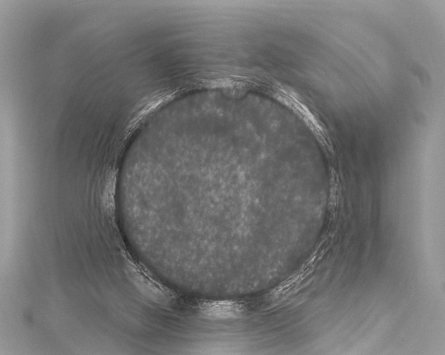 X0000114180058200911191316