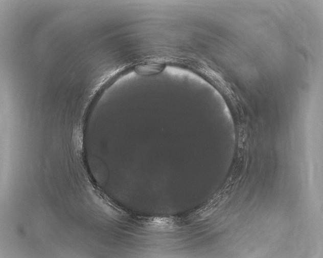 X0000114180060200911191316