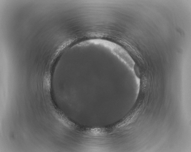 X0000114180064200911191316