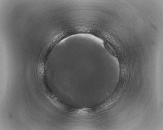 X0000114180072200911191316