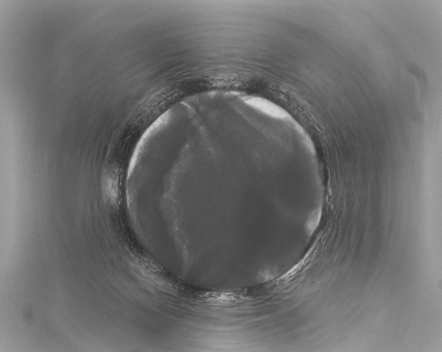 X0000114180074200911191316