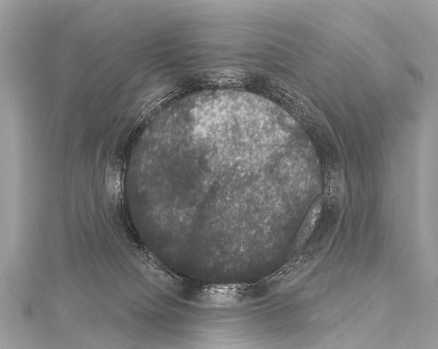 X0000114180084200911191316