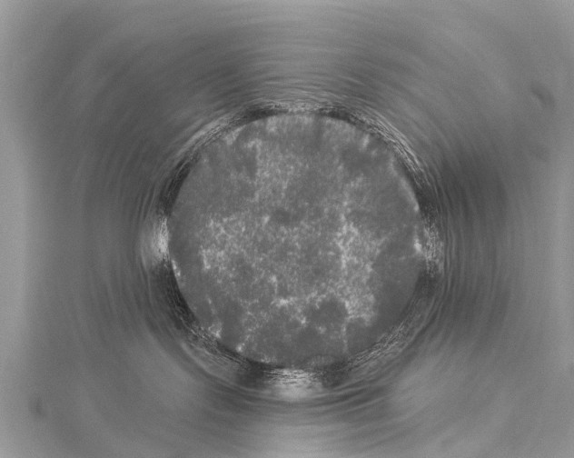 X0000114180095200911191316