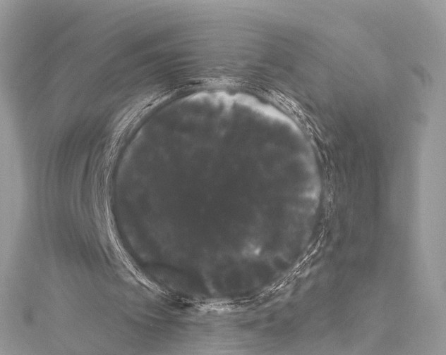 X0000114180097200911191316