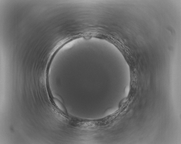 X0000114180100200911191316