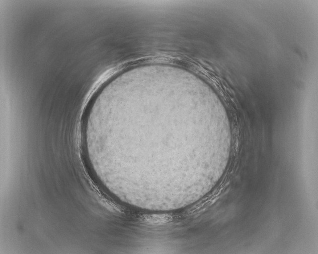 X0000114180102200911191316