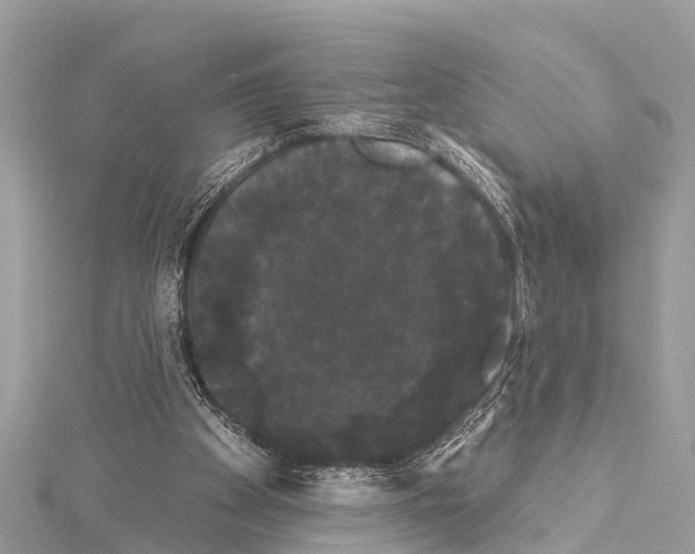 X0000114180105200911191316