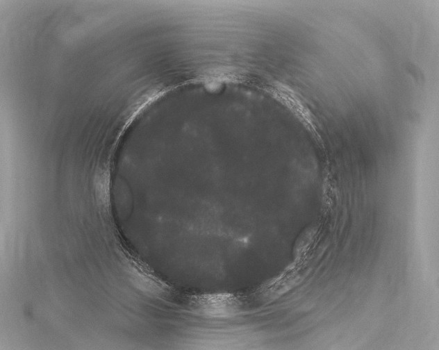 X0000114180108200911191316