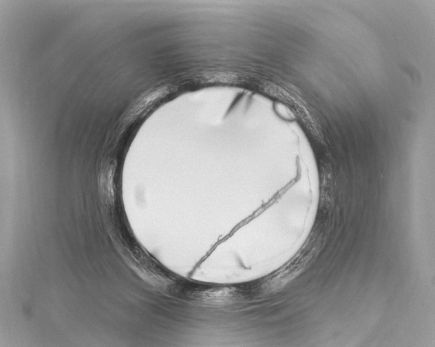 X0000114180116200911191316