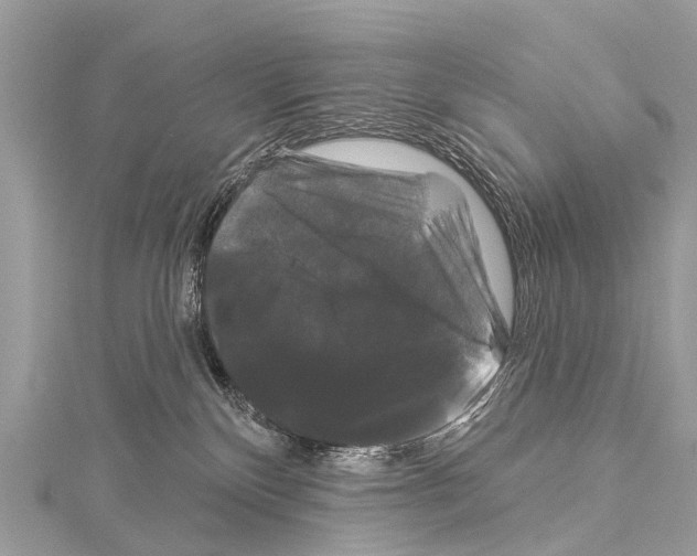 X0000114180136200911191315