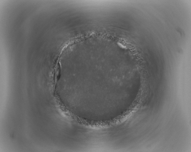 X0000114180144200911191315