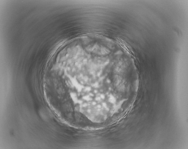 X0000114180145200911191315