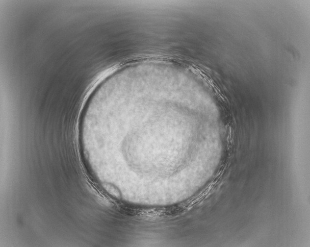 X0000114180148200911191315