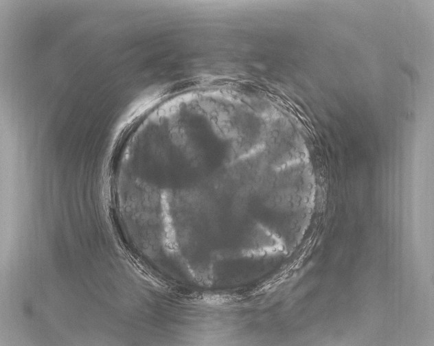 X0000114180149200911191315