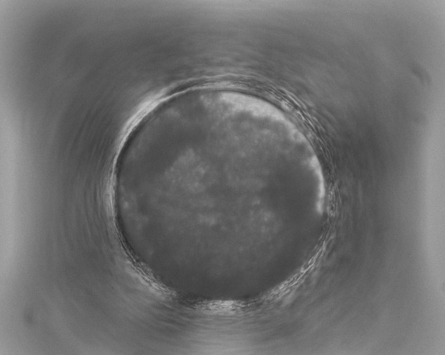 X0000114180152200911191315