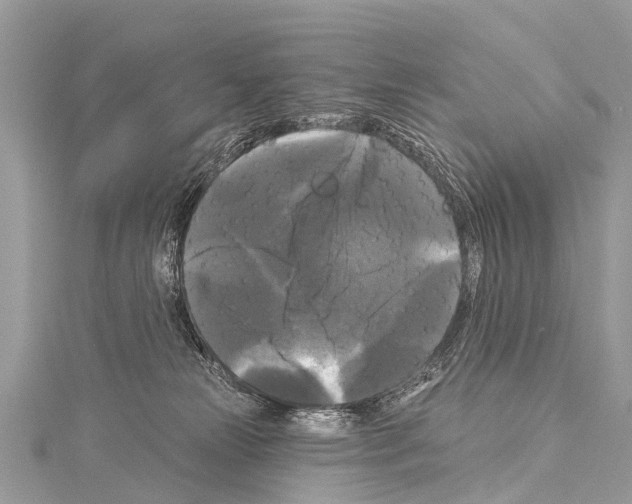 X0000114180181200911191315