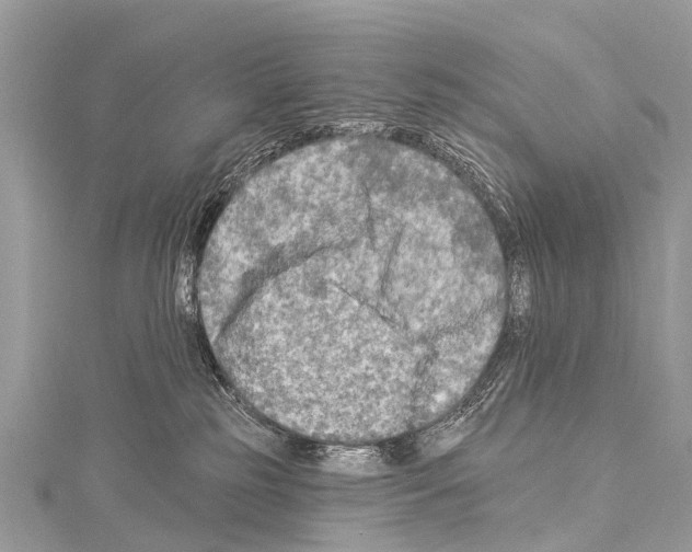 X0000114180185200911191315