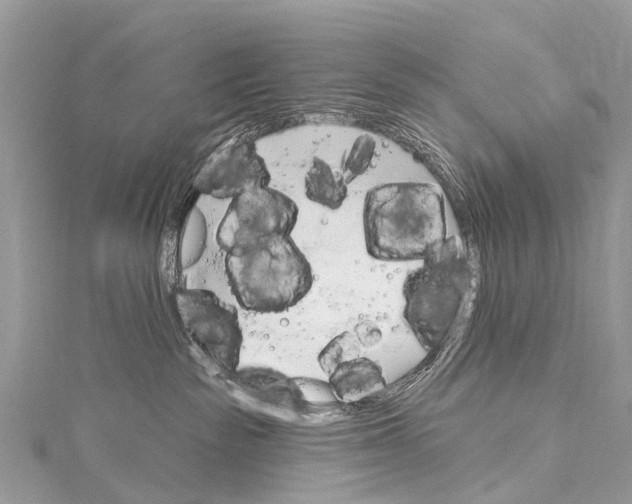 X0000114180189200911191315