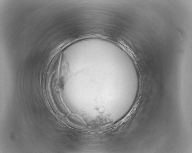 X0000114180193200911191315