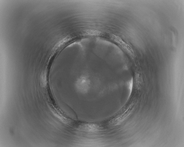 X0000114180203200911191314