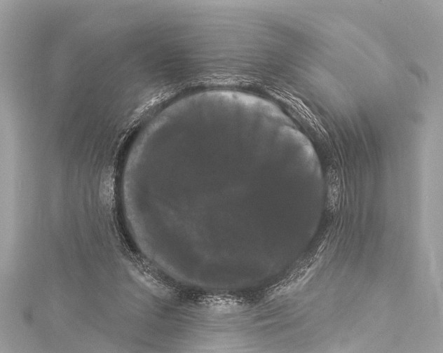 X0000114180207200911191314