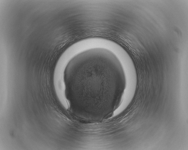 X0000114180219200911191314