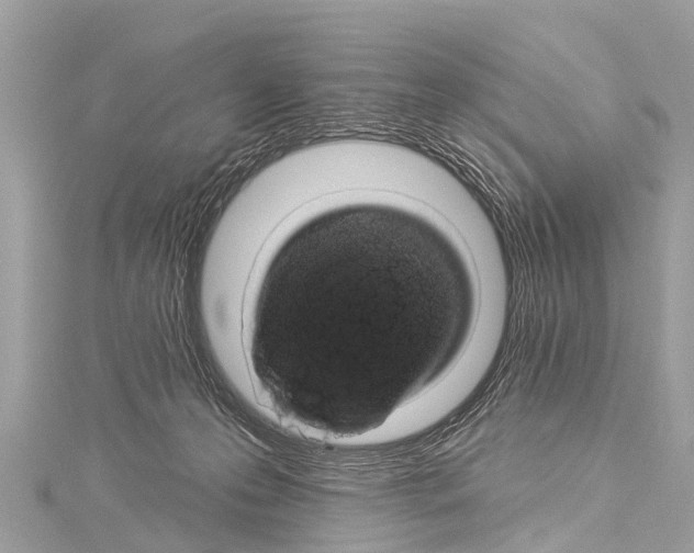 X0000114180223200911191314