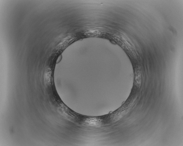 X0000114180231200911191314