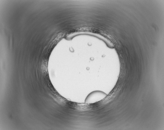 X0000114180240200911191314