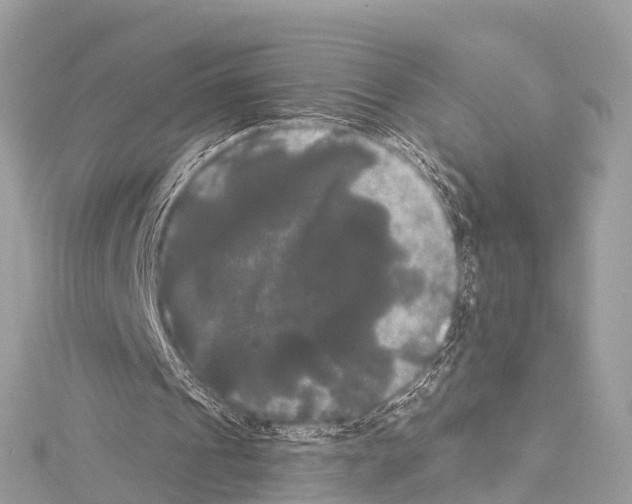 X0000114180241200911191313