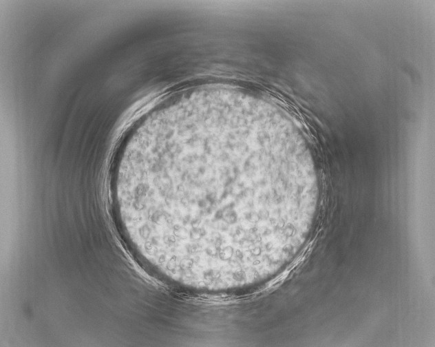 X0000114180245200911191313