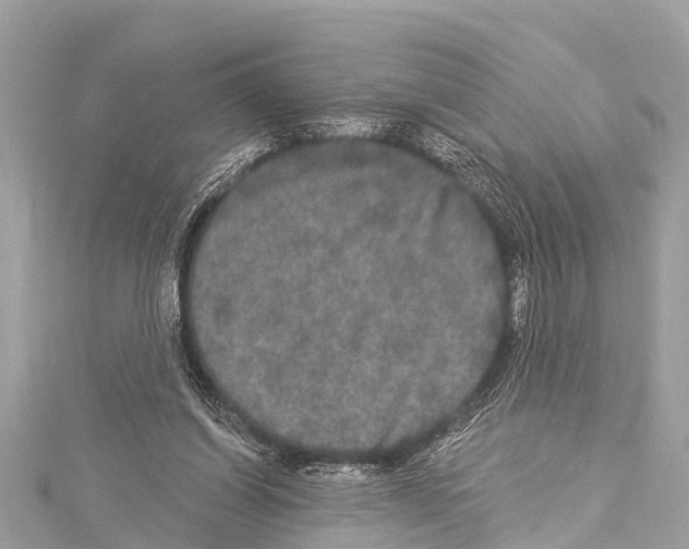 X0000114180254200911191313