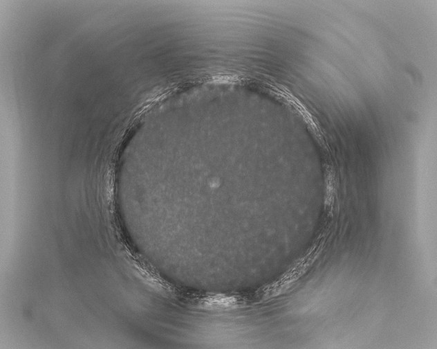 X0000114180257200911191313